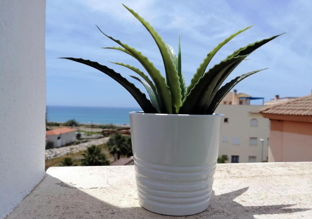 Dunas Jewel Apartment El El Morche Eksteriør billede